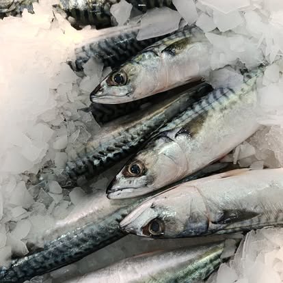 Produit La Dorade Royale