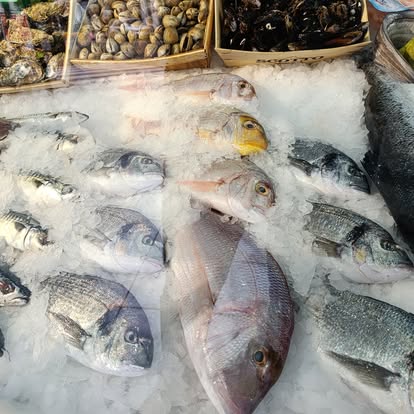 Produit La Dorade Royale