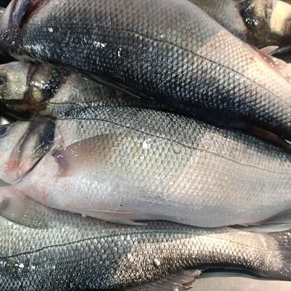 Produit La Dorade Royale